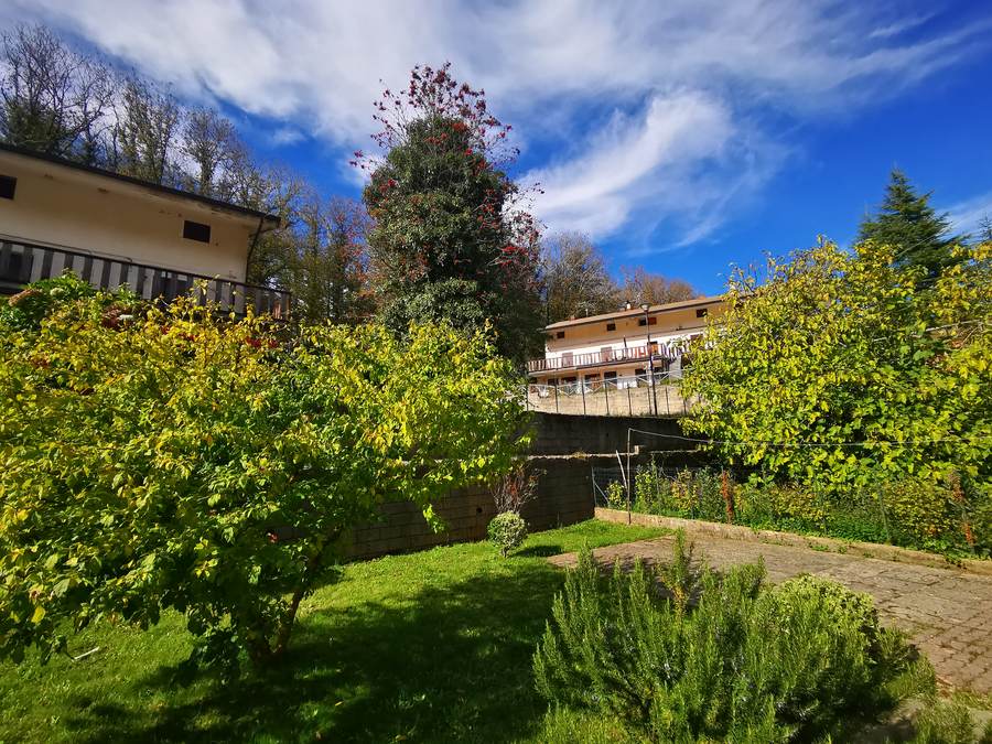 Giardino del villaggio con cielo limpido